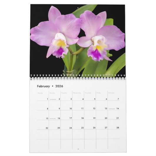 Medium Size Orchids Calendar カレンダー (2月 2026)