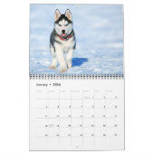 Medium Size Puppy Love Calendar カレンダー (1月 2026)