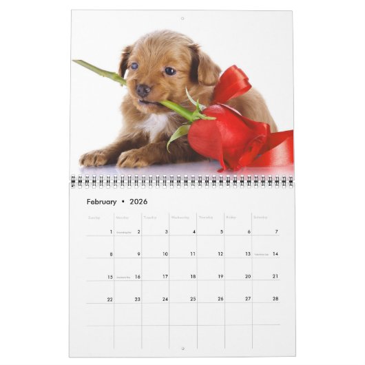 Medium Size Puppy Love Calendar カレンダー (2月 2026)
