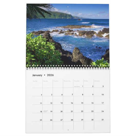 Medium Size Tropics Paradise Calendar カレンダー (1月 2026)