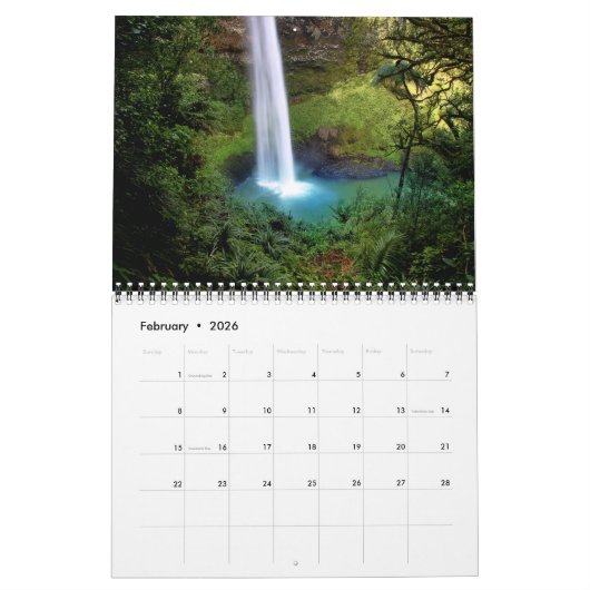 Medium Size Tropics Paradise Calendar カレンダー (2月 2026)