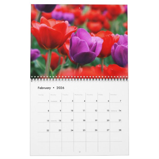 Medium Size Tulips Calendar カレンダー (2月 2026)