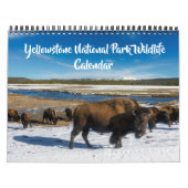 Medium Size Yellowstone Calendar-Wildlife Calendar カレンダー (カバー)