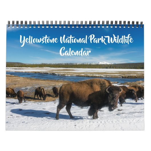 Medium Size Yellowstone Calendar-Wildlife Calendar カレンダー (カバー)