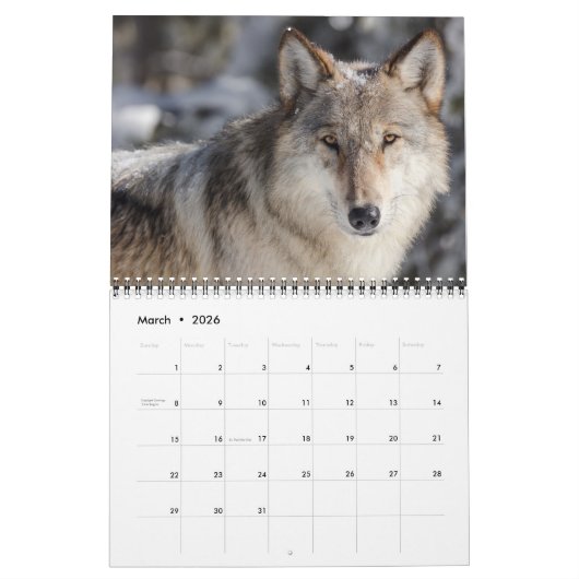 Medium Size Yellowstone Calendar-Wildlife Calendar カレンダー (3月 2026)