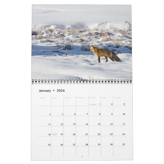 Medium Size Yellowstone Park Calendar カレンダー (1月 2026)