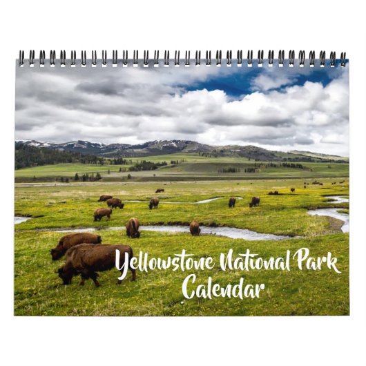 Medium Yellowstone Park Calendar カレンダー (カバー)