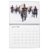 Medium Yellowstone Park Calendar カレンダー (1月 2026)