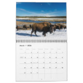 Medium Yellowstone Park Calendar カレンダー (3月 2026)