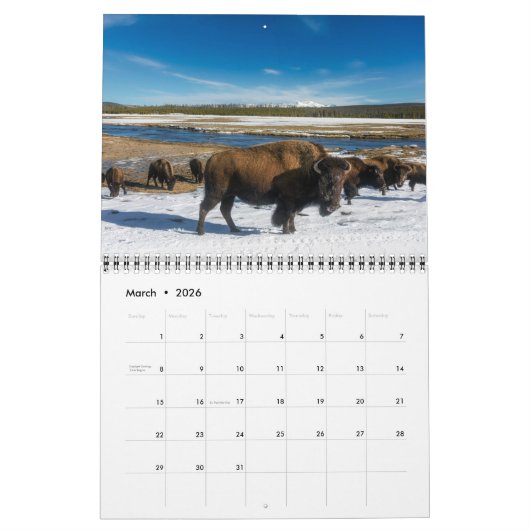 Medium Yellowstone Park Calendar カレンダー (3月 2026)