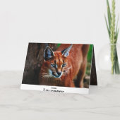 Meeooooow シーズンカード (裏面)