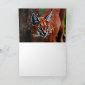 Meeooooow シーズンカード (内部)