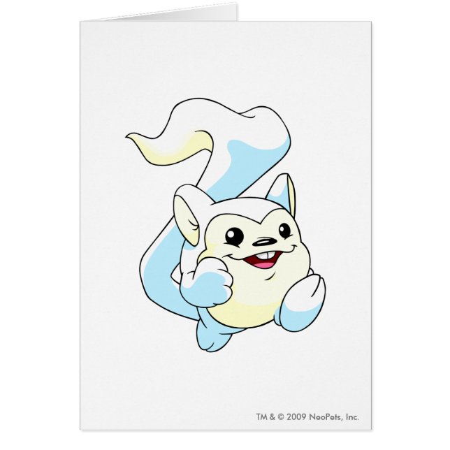 Meercaの白 (正面)