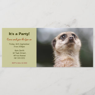 Meerkatのかわいいパーティの招待状 招待状