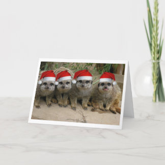 Meerkatのクリスマスを持って下さい! シーズンカード