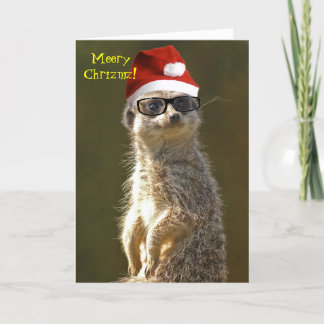 Meerkatのクリスマスカード シーズンカード