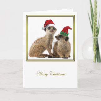 Meerkatのクリスマス1 シーズンカード