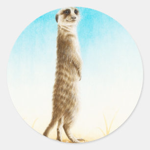 Meerkatのステッカー ラウンドシール