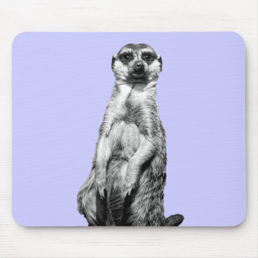 Meerkatのタマキビの背景 マウスパッド (正面)