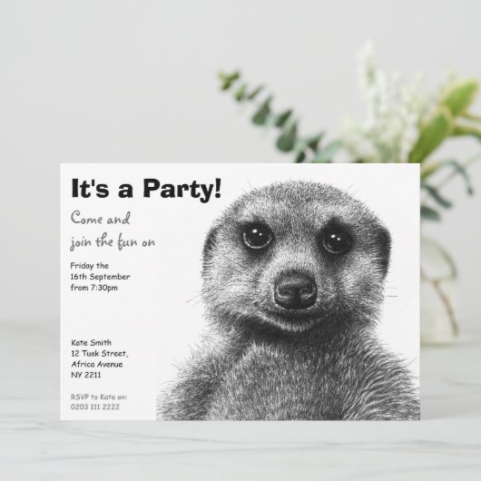 Meerkatのパーティの招待状 招待状 (スタンド正面)