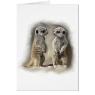 Meerkatのベビーの双生児