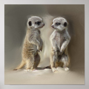 Meerkatのベビーの双生児 ポスター