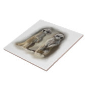 meerkatのベビー タイル (側面)