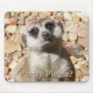 Meerkatのマウスパッド マウスパッド