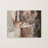 Meerkatの写真のパズル ジグソーパズル (横)