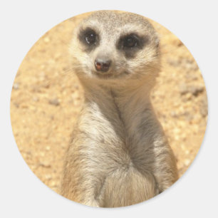 Meerkatの好奇心が強いステッカー ラウンドシール