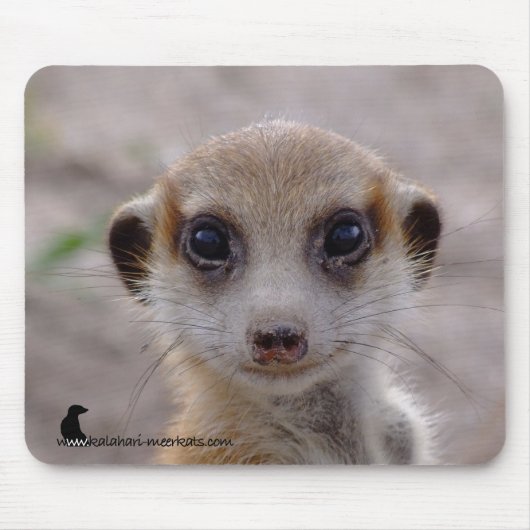 Meerkatの子犬のマウスパッド マウスパッド (正面)