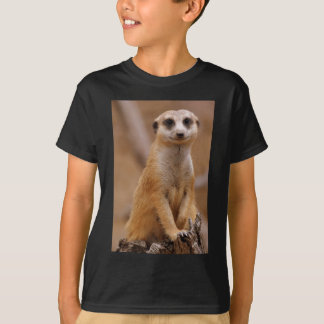 Meerkatの提起 Tシャツ