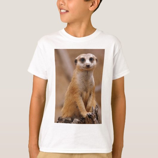Meerkatの提起 Tシャツ (正面)