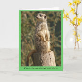 Meerkatの注意深いカード カード (黄色い花)