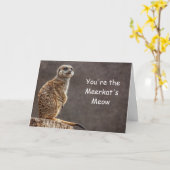 Meerkatの猫の鳴き声のバースデー・カード カード (黄色い花)