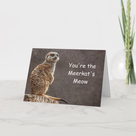Meerkatの猫の鳴き声のバースデー・カード カード (正面)