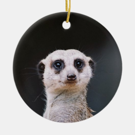 Meerkatの眺望のオーナメント セラミックオーナメント (正面)