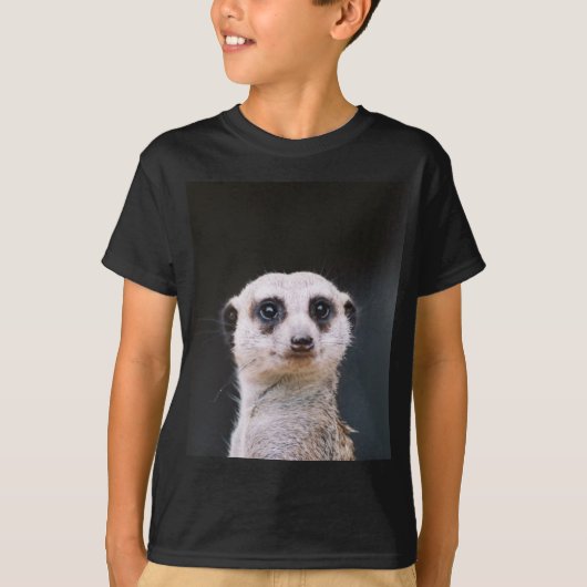 Meerkatの眺望のTシャツ Tシャツ (正面)