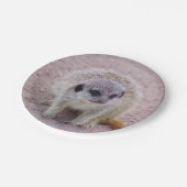 Meerkatの紙皿 ペーパープレート (アングル)