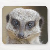 Meerkatの終わり マウスパッド (正面)