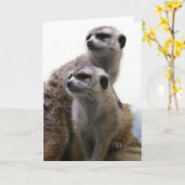 Meerkatの組の挨拶状 カード (黄色い花)
