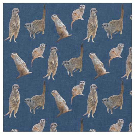 Meerkatの逆上の生地(海軍) ファブリック (クローズアップ)
