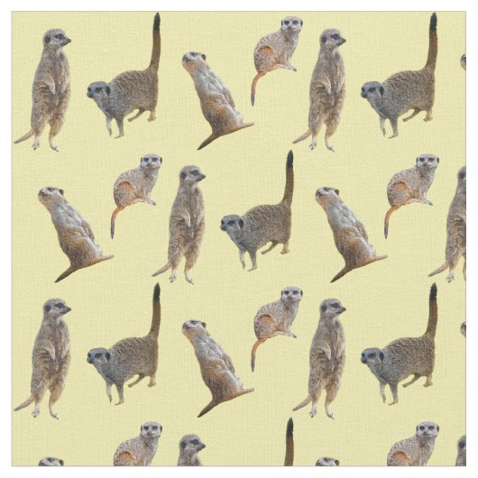 Meerkatの逆上の生地(黄色) ファブリック (クローズアップ)