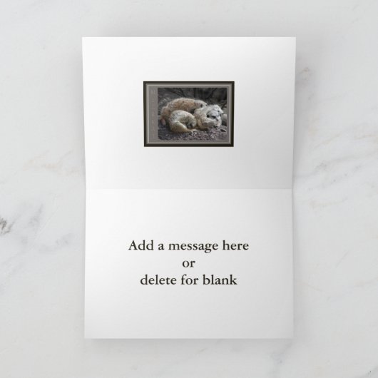 Meerkatの野性生物 サンキューカード (内部)