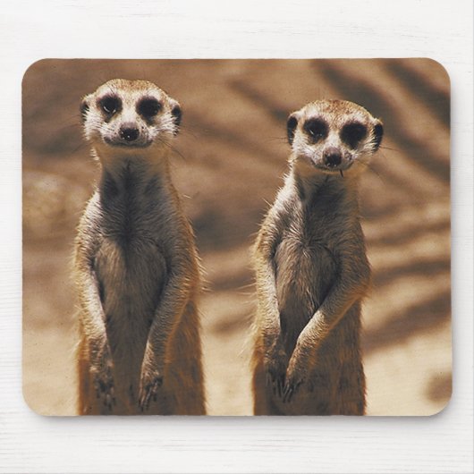 Meerkatのmousepad マウスパッド (正面)