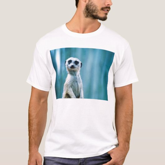 MeerkatのStaredownのTシャツ Tシャツ (正面)