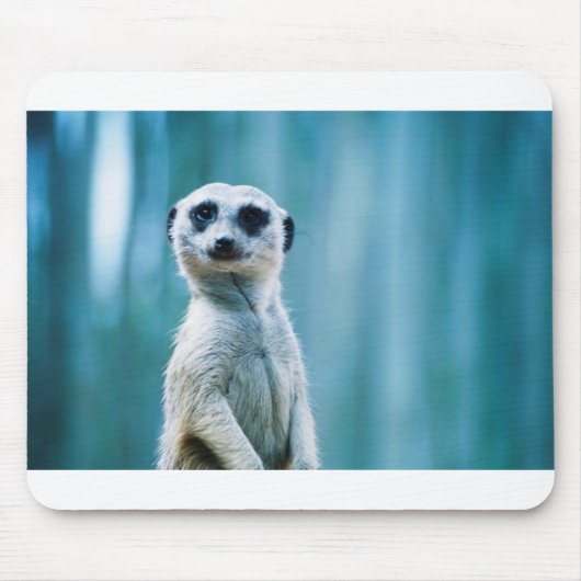 MeerkatのStaredown マウスパッド (正面)