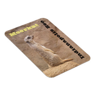 Meerkatインディアナポリスの動物園 マグネット