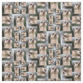 Meerkatパターン ファブリック (見本)