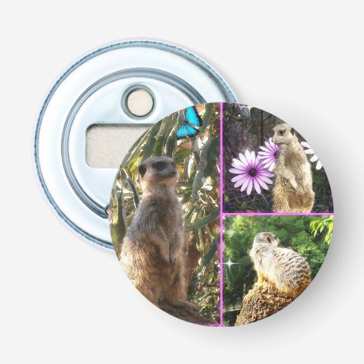 Meerkatフォトコラージュ、磁気ボトルオープナー、 栓抜き (正面)